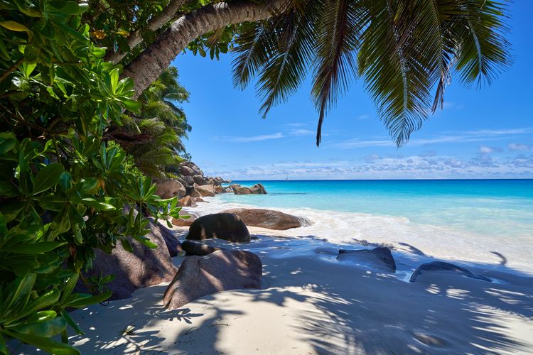 Ireland to Exotic Seychelles for €459 Return